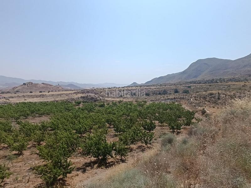 Foto 526d69d3-a604-40f7-a9d0-a02267aaf948. Finca rústica a Mazarrón casco urbano Mazarrón