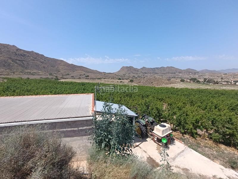 Foto 5dca55f3-46dd-46be-80c5-a38f55a521df. Finca rústica a Mazarrón casco urbano Mazarrón