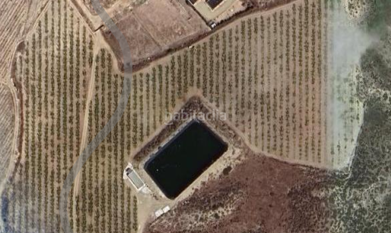 Foto 6562195b-fb6d-4ccb-833b-7ffec2007751. Finca rústica a Mazarrón casco urbano Mazarrón