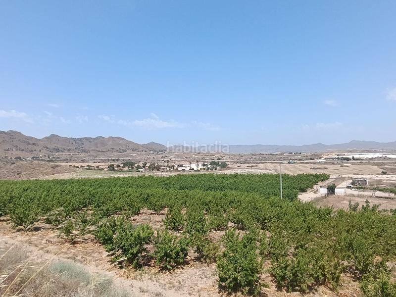 Foto 86e8a7c3-4eae-4776-9291-58334a871276. Finca rústica a Mazarrón casco urbano Mazarrón