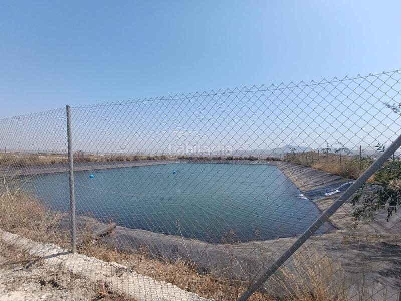 Foto 91a3d284-74bc-42fd-a17c-0f5596cccf3a. Finca rústica a Mazarrón casco urbano Mazarrón