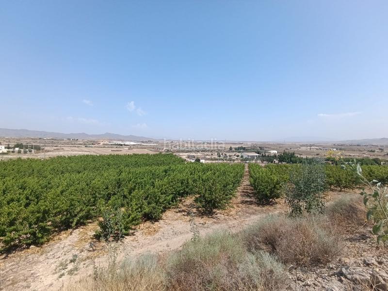 Foto 9c333a15-9217-4ebc-9219-296bafc0fc8d. Finca rústica a Mazarrón casco urbano Mazarrón