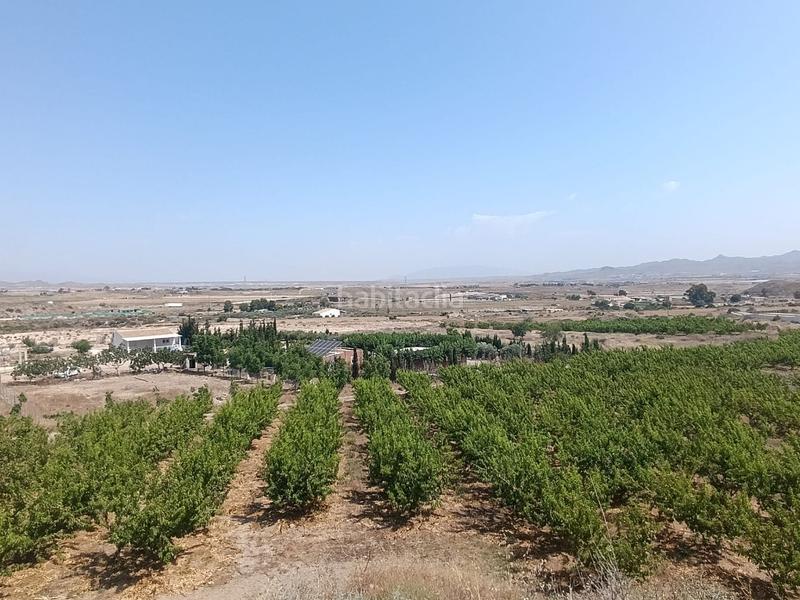 Foto b3088e3c-c764-4032-af86-19bef8004f52. Finca rústica a Mazarrón casco urbano Mazarrón