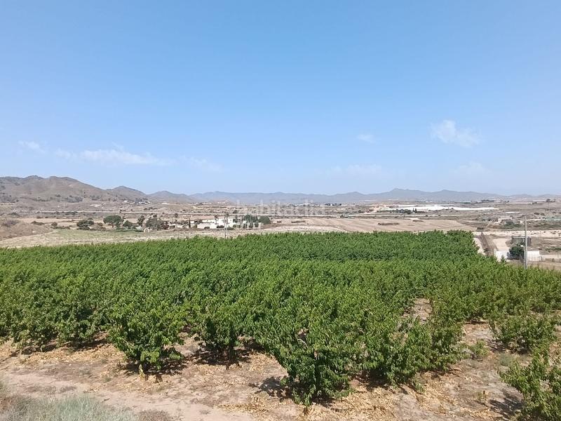 Foto b3d1ffcd-e3e1-40c6-81a8-7e986d9dd20f. Finca rústica a Mazarrón casco urbano Mazarrón