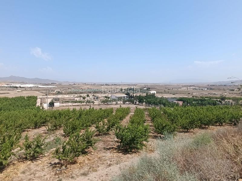Foto b533e16e-a793-4bc6-8fd1-e72b6a73db37. Finca rústica a Mazarrón casco urbano Mazarrón