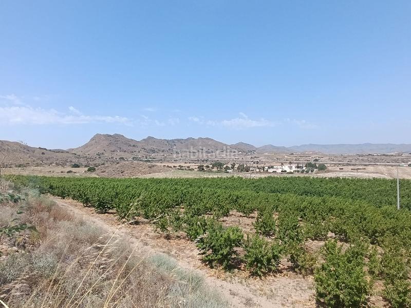 Foto f9f82828-2a6a-43a6-adb6-6b9dd9136616. Finca rústica a Mazarrón casco urbano Mazarrón