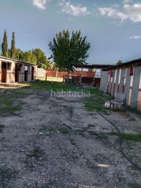 Foto eb9dd9d9-7f7e-44cc-b2dc-a7725a62b5b3. Wohngrundstück in Alcantarilla