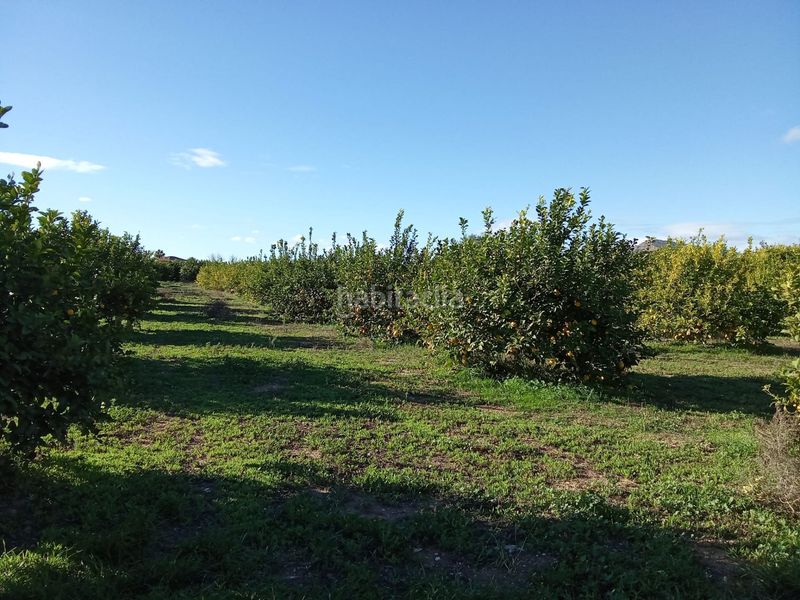 Foto e2a30b49-48a2-4a0d-9ebd-8c3367418bf0. Finca rústica a Librilla