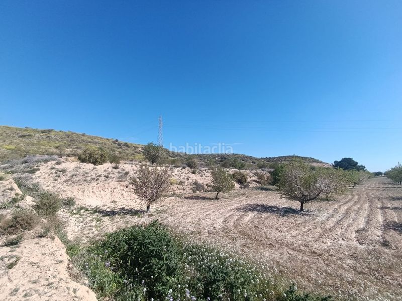 Foto b084370f-dda3-4e13-9c69-6ca6b1461c78. Finca rústica a Alcantarilla