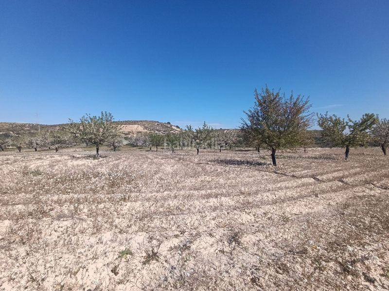 Foto e332b1d1-a437-442b-a5ea-248e81da6c49. Finca rústica a Alcantarilla