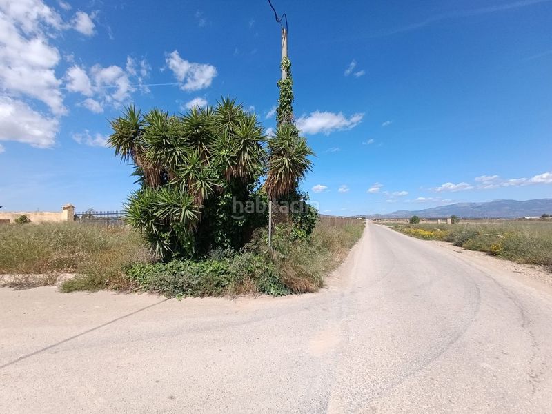 Foto 6ef3e511-b26a-486a-80b2-0056fd160442. Finca rústica a Totana