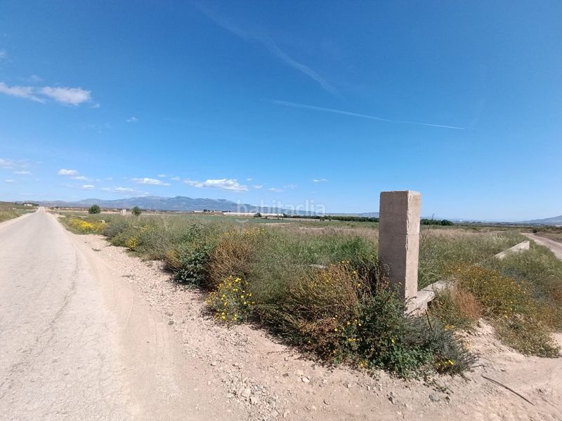Foto b09179f9-1171-43ef-bc07-f3e30ac24258. Finca rústica a Totana