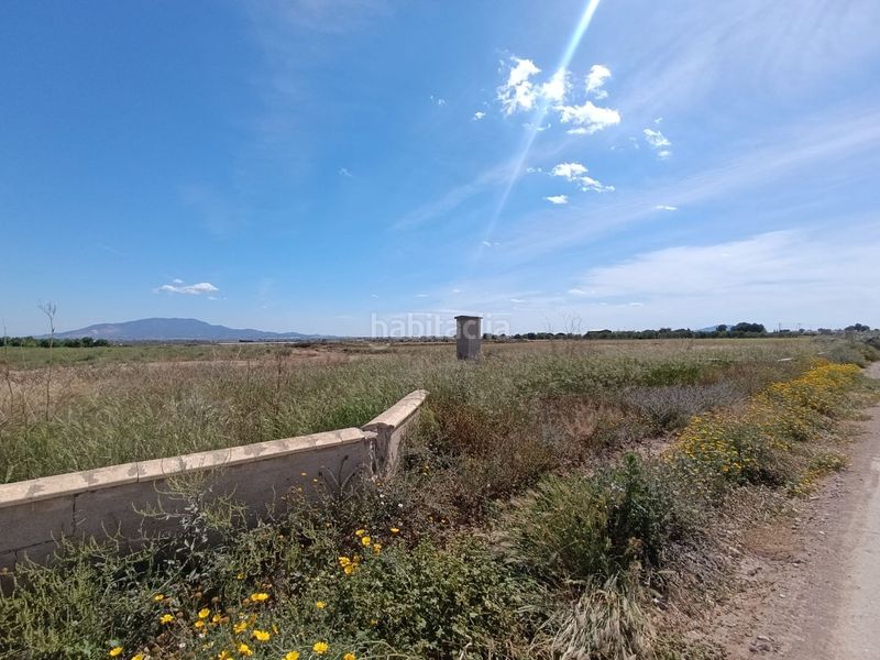 Foto d5500b2f-2828-49e4-bdac-01775369477e. Finca rústica a Totana
