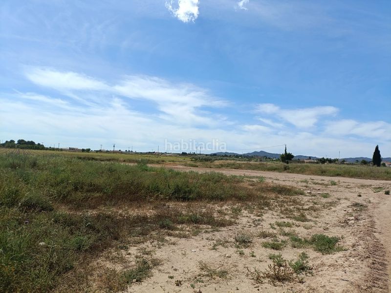 Foto efe72815-a332-4e10-83e6-fef92d5f98e2. Finca rústica a Totana