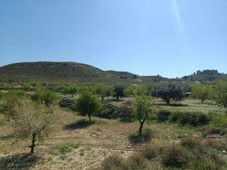 Finca rústica a Cañada Hermosa
