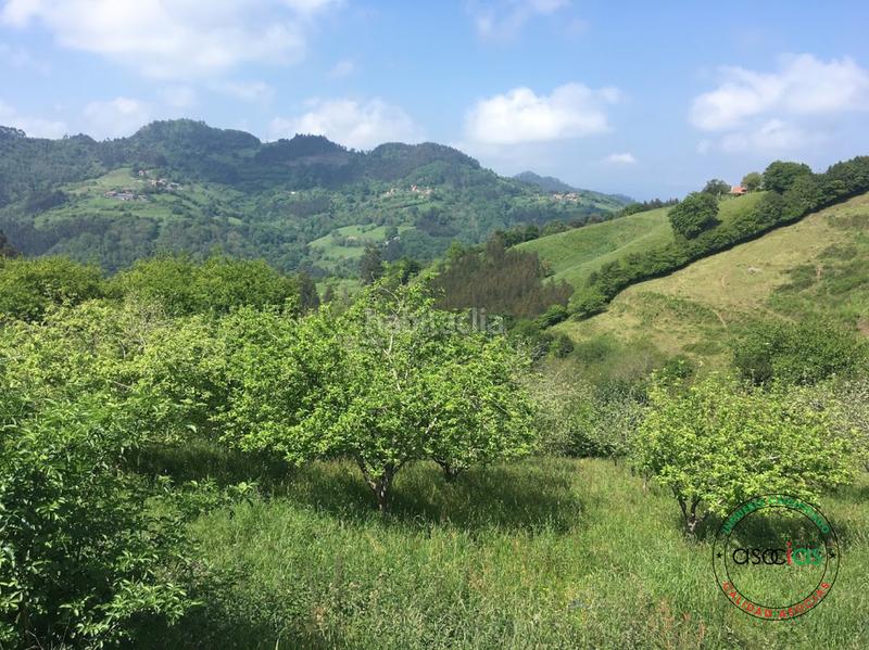 Foto 43d80a79-d52b-487c-bbbb-c04ed6236665. Terreny residencial a c/ breceña km 332 a Parroquias surorientales Villaviciosa