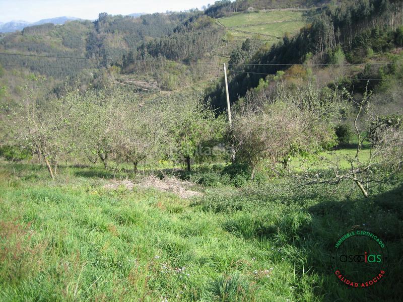 Foto d051a981-0c64-424e-b3f8-d063366d1d19. Terreny residencial a c/ breceña km 332 a Parroquias surorientales Villaviciosa