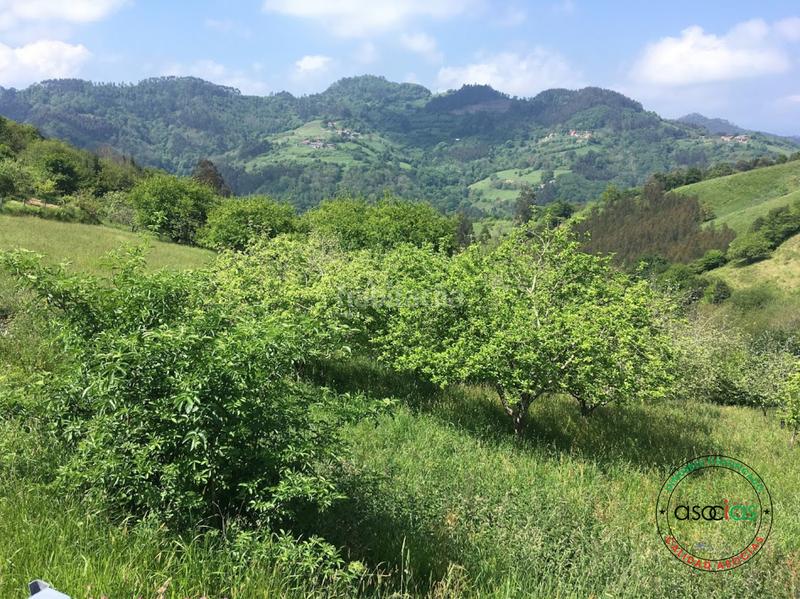 Foto f102dd25-37cf-448a-8bf2-c79ff639a9a7. Terreny residencial a c/ breceña km 332 a Parroquias surorientales Villaviciosa