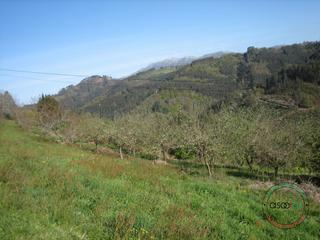 Terreny residencial a C/ breceña km 332. Terreno en venta en breceña!