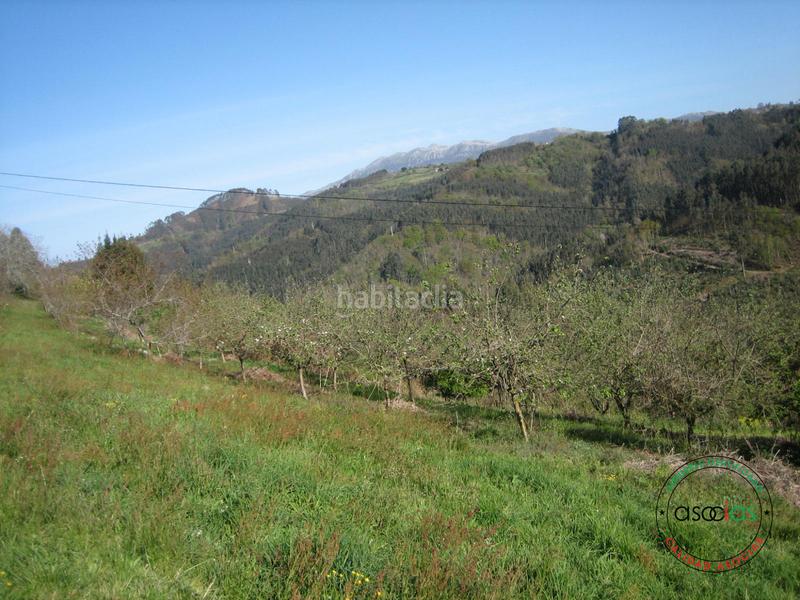 Foto fcacd09a-813c-4126-af23-c7dd8d32749c. Terreny residencial a c/ breceña km 332 a Parroquias surorientales Villaviciosa