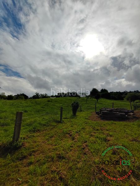 Foto 08d472fb-4b70-434c-85c4-75f80621081c. Finca rústica a Selorio - Tornón Villaviciosa