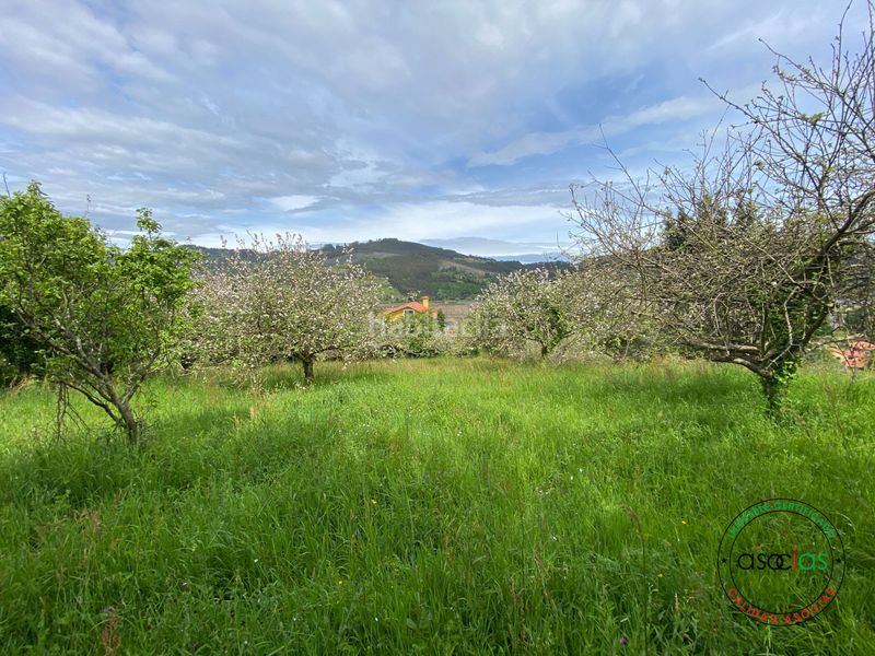 Foto 51664c69-723b-4ac2-89b5-31701b62ce85. Finca rústica a Selorio - Tornón Villaviciosa