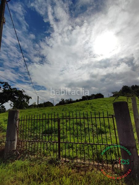 Foto cf347a42-5364-4e95-b68c-7525132266ad. Finca rústica a Selorio - Tornón Villaviciosa