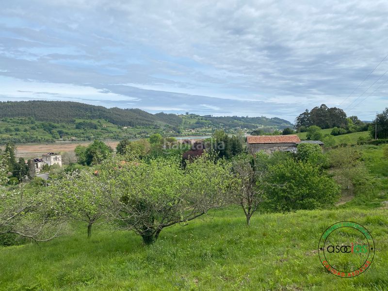 Foto d55bf79f-de99-482c-85af-22fbf7497b85. Finca rústica a Selorio - Tornón Villaviciosa