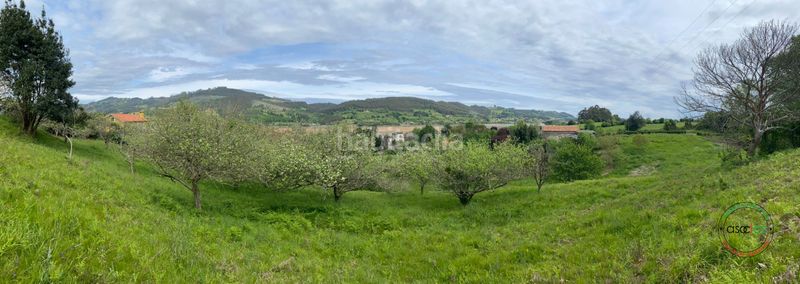 Foto d9601cd8-bdc3-4320-9aed-5066f8c3e3db. Finca rústica a Selorio - Tornón Villaviciosa