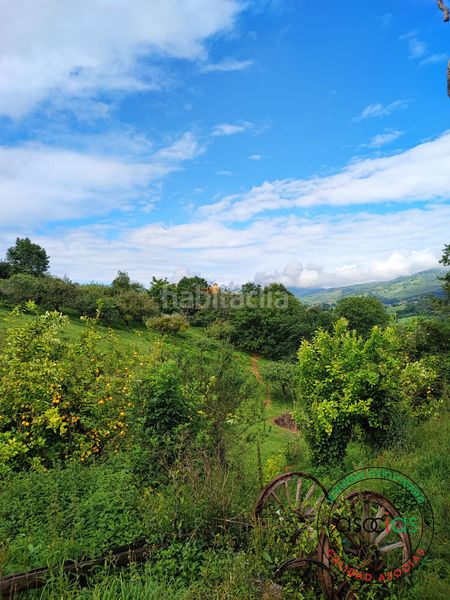Foto e1d7253f-38e4-44ba-bc01-d6d39526bfd5. Finca rústica a Selorio - Tornón Villaviciosa