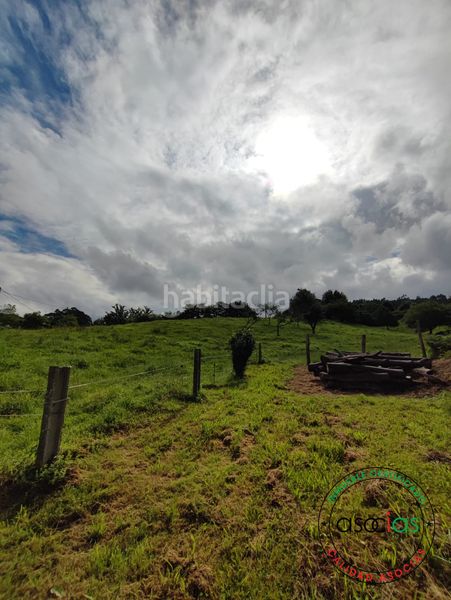 Foto eba40032-0b59-451d-b49f-66e76600b92d. Finca rústica a Selorio - Tornón Villaviciosa