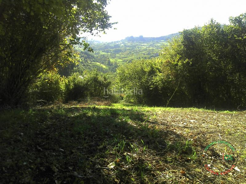 Foto 2496c972-2fbc-4295-a011-b7a99462c799. Terreno residencial finca rustica en san pelayo Caldones en Gijón