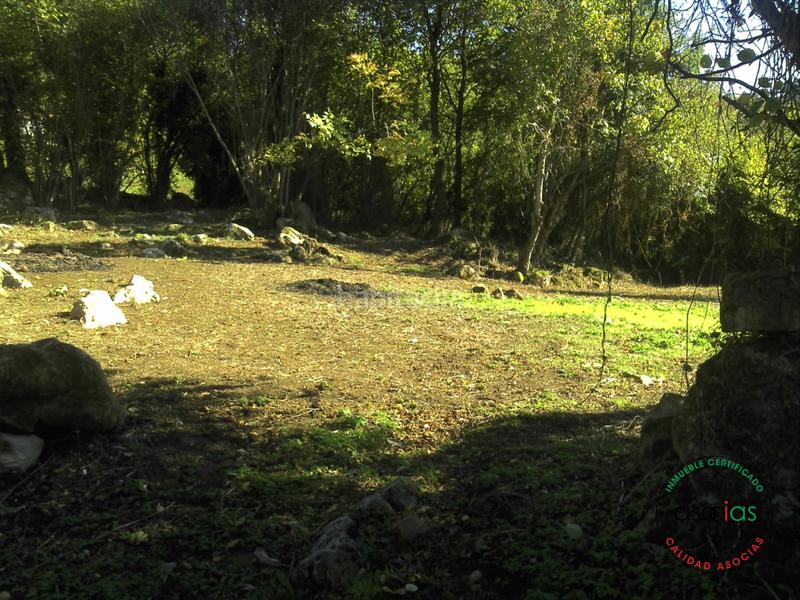Foto 53d44858-8068-4468-9cdb-2b7be0e34c5f. Terreno residencial finca rustica en san pelayo Caldones en Gijón