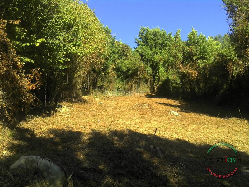 Foto 55d87b7c-87c2-4466-b2a6-5bf788f5fed3. Terreno residencial finca rustica en san pelayo Caldones en Gijón