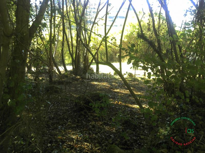 Foto 5801cd07-7a00-4a23-884b-fc98e3aaec66. Terreno residencial finca rustica en san pelayo Caldones en Gijón