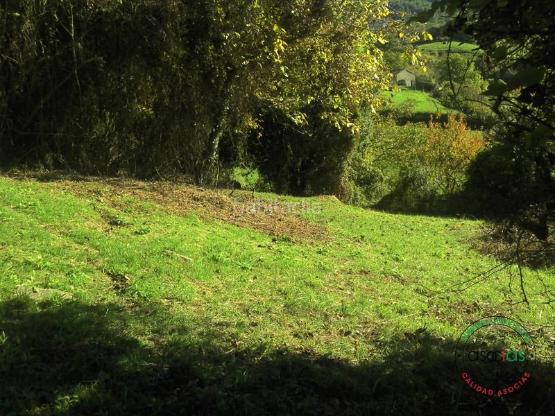 Foto 7926791d-a823-4749-8864-695ee093c013. Terreno residencial finca rustica en san pelayo Caldones en Gijón