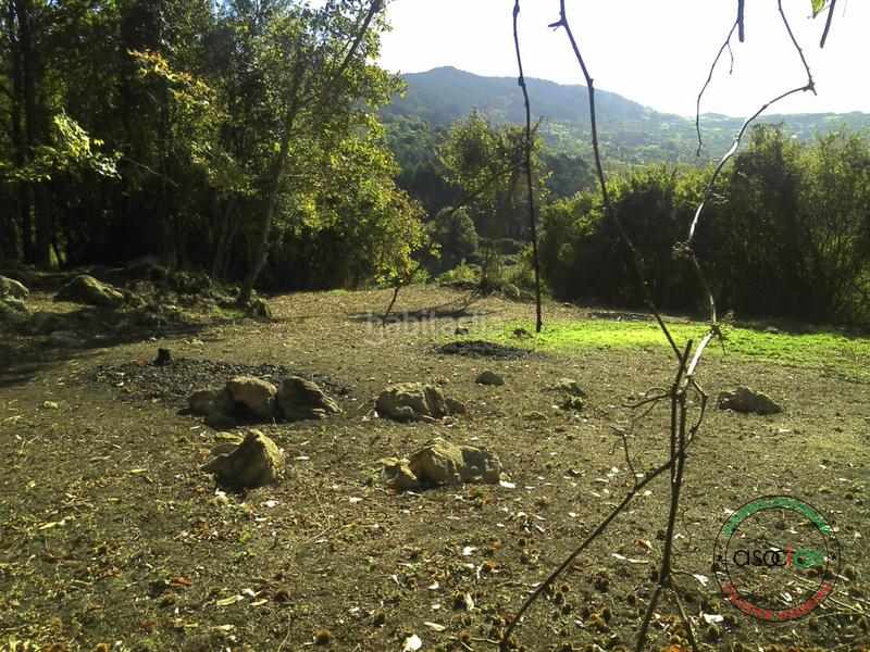 Foto ebeae623-d1c6-426d-b108-d1dc60686581. Terreno residencial finca rustica en san pelayo Caldones en Gijón