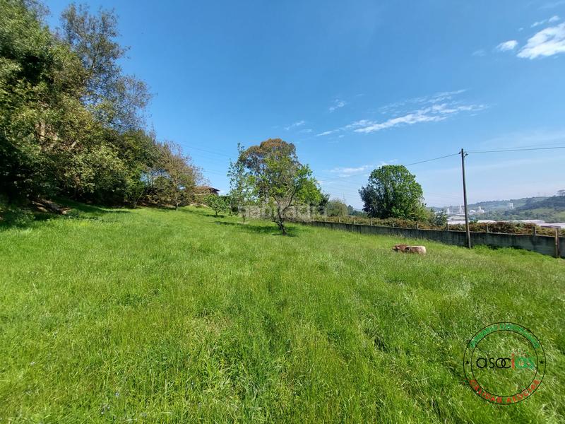 Foto d9c70778-e4ef-4b05-8d21-69cc41429407. Residential plot in Cenero Gijón