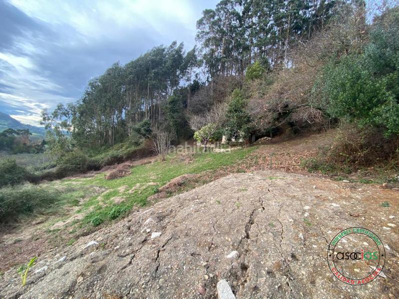 Foto b1697b05-cd03-45b9-9ffa-fe4fa6dd6122. Residential plot in Caldones Gijón