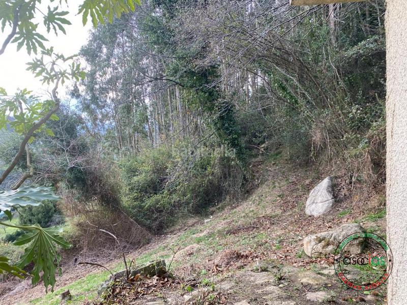 Foto ed32c93f-d0ac-412e-9631-411347f6da6e. Residential plot in Caldones Gijón