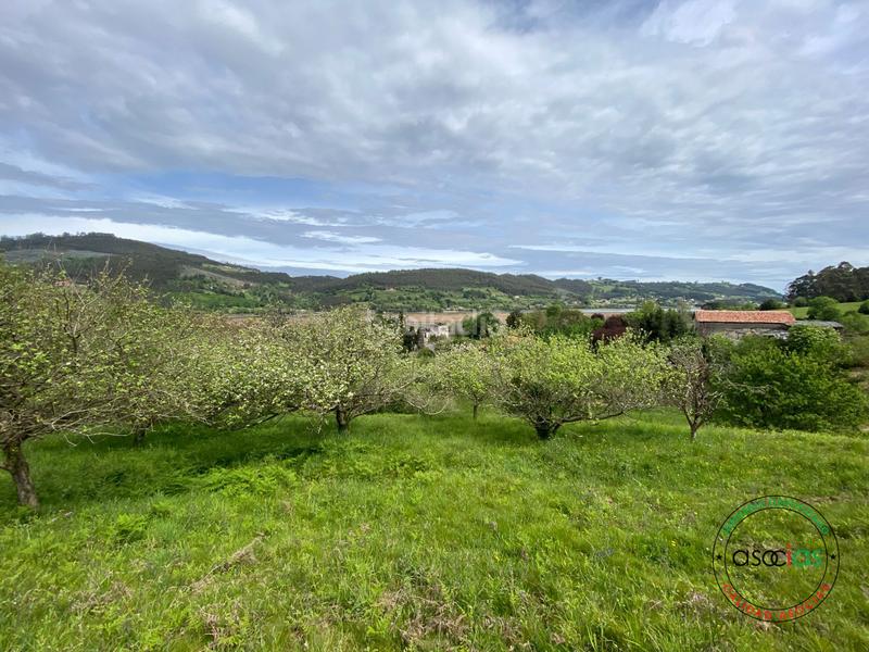 Foto 738319a9-2318-460e-9c0b-435d83c3e57a. Terreno residenziale in Selorio - Tornón Villaviciosa