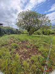 Fondo rustico  Careses - aldea ordiales. Finca edificable en ordiales, siero