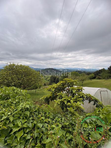 Foto a743110b-c80a-42ea-bc3d-8c0ab6f0c244. Finca rústica a Parroquias Norte Siero