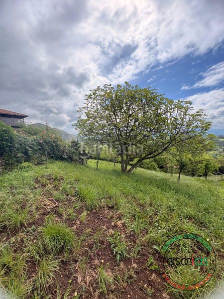 Foto d1ae6d39-96e0-4c37-90eb-d8cd79fe1033. Finca rústica a Parroquias Norte Siero