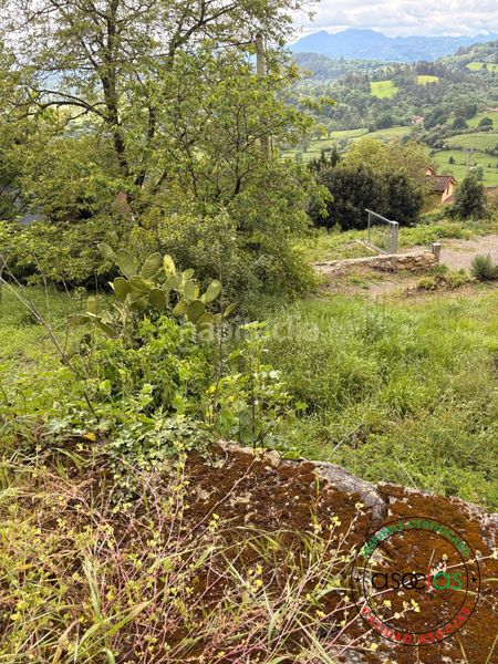 Foto ebd2ab36-1b9b-4ea0-85ec-190e0d791098. Finca rústica a Parroquias Norte Siero