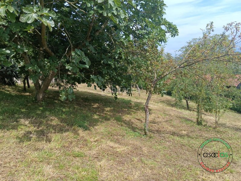Foto f16b17f1-0ba7-47e9-9543-f1dd6208fbea. Finca rústica a Parroquias Norte Siero