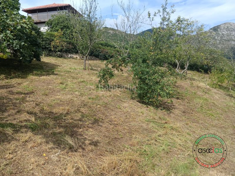 Foto fb5456ff-fa4a-4244-b28b-39f89454fd39. Finca rústica a Parroquias Norte Siero
