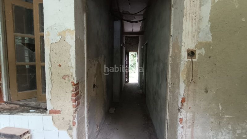 Foto 61d70ce5-7754-44bd-9eaa-aea129c3d137. Pis a Teverga
