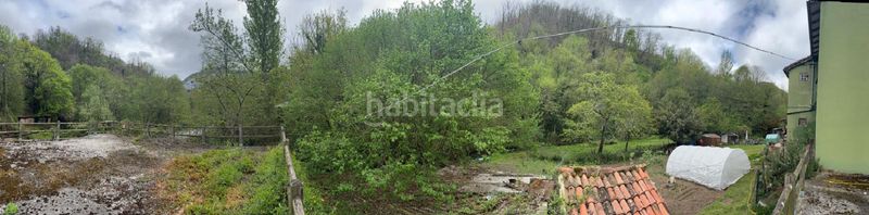 Foto 6ea3856a-b62e-4aab-9eb9-fc5eee885522. Pis a Teverga