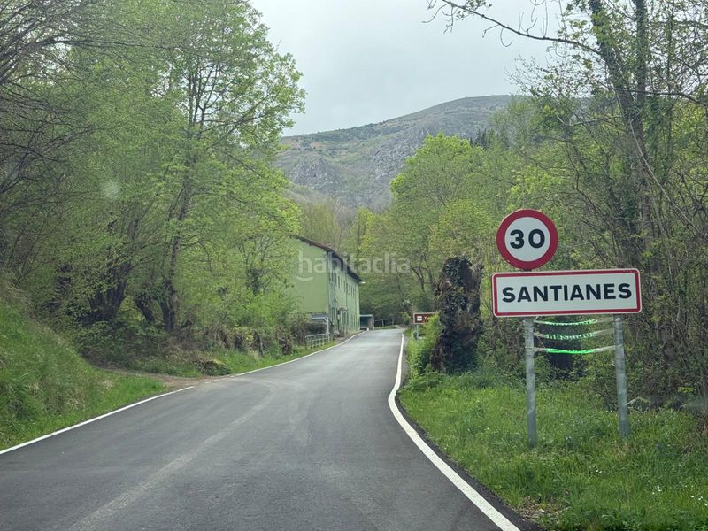 Foto 813f786a-aea8-4b73-b8fb-4112fdcec3a9. Pis a Teverga
